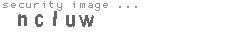 security image