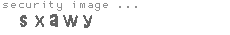 security image