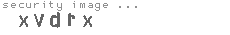 security image