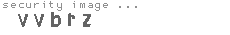 security image