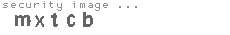 security image