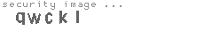 security image