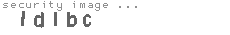 security image