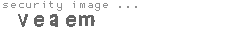 security image