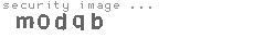 security image