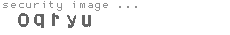 security image