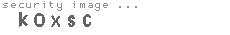 security image