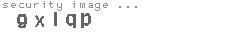 security image