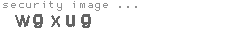 security image