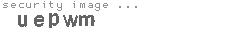 security image