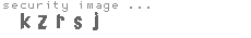 security image