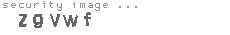 security image