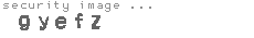security image
