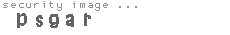 security image