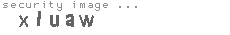 security image
