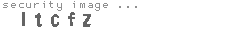 security image