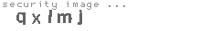 security image
