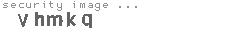 security image