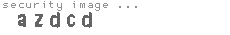 security image