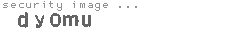 security image