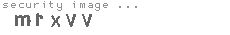 security image