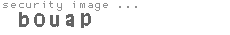 security image