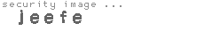 security image