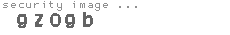 security image