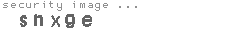 security image