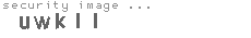 security image