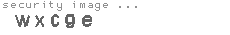 security image