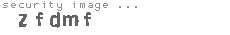 security image