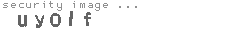 security image