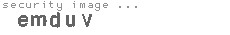 security image