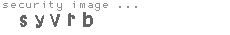 security image