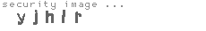 security image