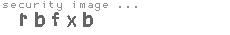 security image