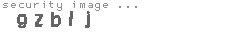 security image