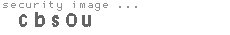 security image
