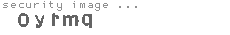 security image
