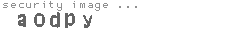 security image