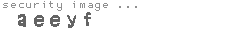 security image