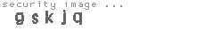 security image