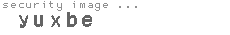 security image