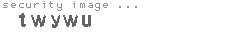 security image