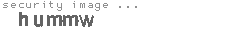 security image