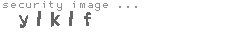 security image