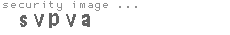 security image