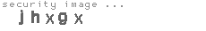 security image