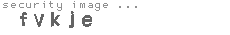 security image